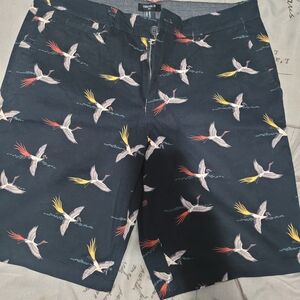 Men's Black Bird Print Shorts